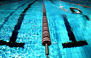 Challenge 81 (Compétitions Natation Course)