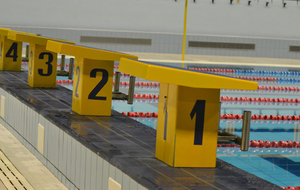 Challenge 81 (Compétitions Natation Course)